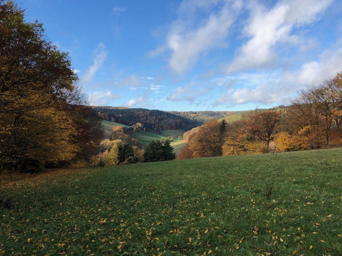 Burg Freienstein Blick 4 Sterne Mit Sauna Gammelsbach エクステリア 写真