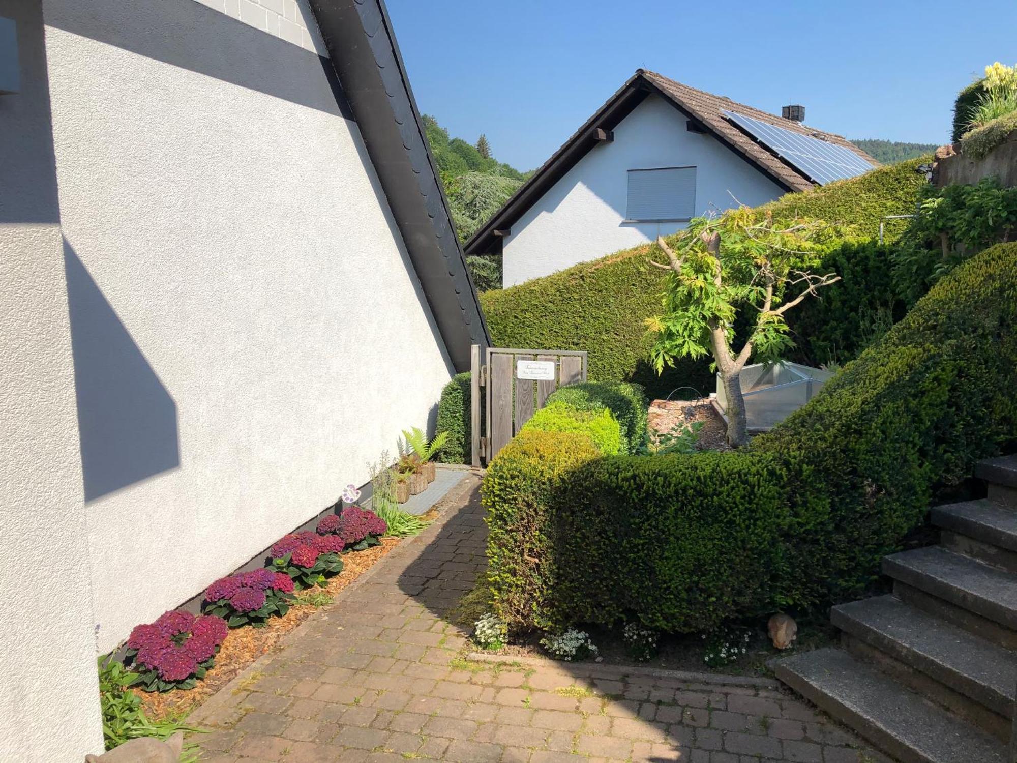 Burg Freienstein Blick 4 Sterne Mit Sauna Gammelsbach エクステリア 写真